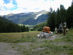 Bärenthemenweg Val Müstair mit Holzbär von Sepp Heinisch © A.Mazzetta WWF