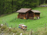 Bienenstand von R.Bott © D.Walser WWF